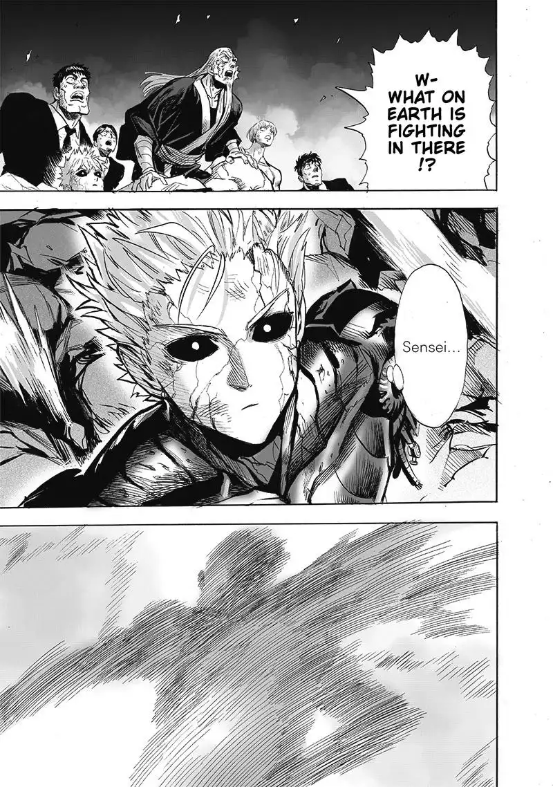 One-Punch Man Chapter 165 13